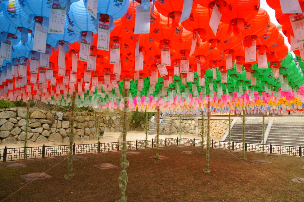 연등,불교,초파일,사찰,절,소원,소망,종교,신앙,religion,belief,faith,축제,행사,festival,carnival,event