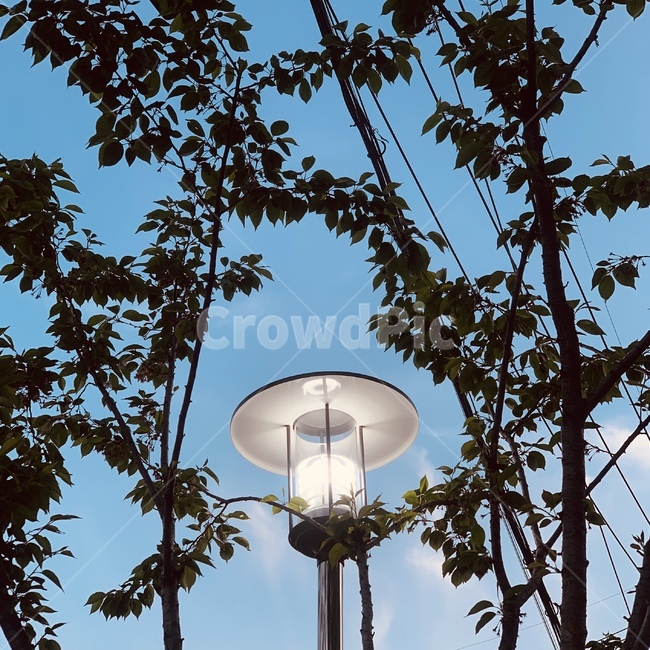 풍경,하늘,가로등,그림자,감성,조명