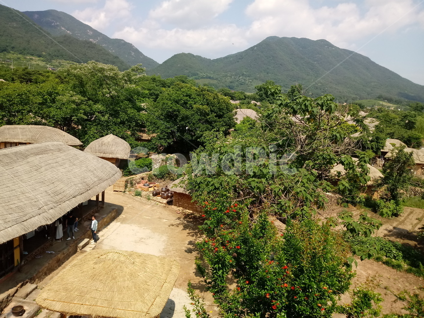 nature,자연,outdoors,옥외,초가집