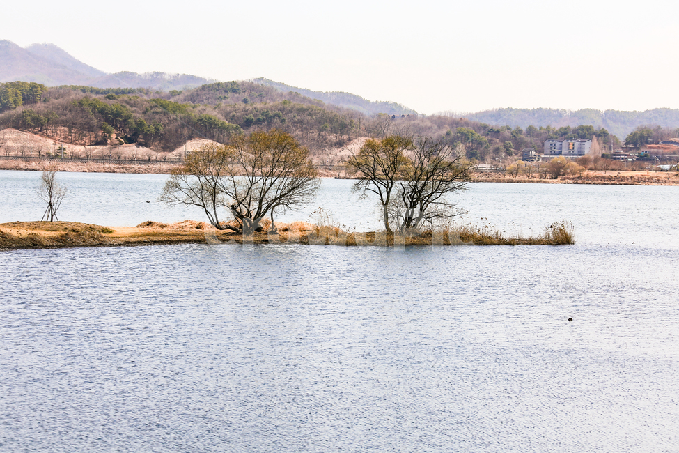 water,물,자연,옥외,outdoors,자연,풍경,nature,landscape