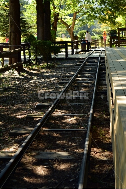 철도,레일,교통,기찻길,여름,railway,rail,transportation,traintrack