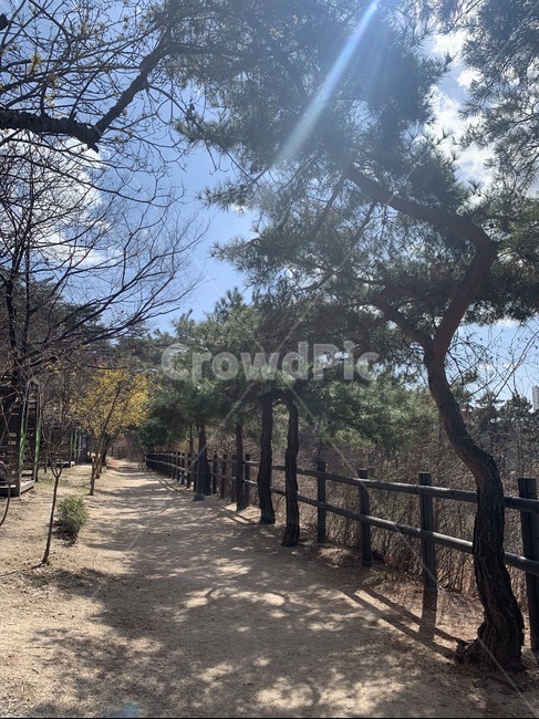 bridge,boardwalk,다리,building,건물,계단오르기,banister,난간,handrail,railing,계단,하늘,구름,계단오르는,등산,산계단,자연,날씨,산,산책로,꽃,봄,꽃봉우리,plant,식물,tree,나무
