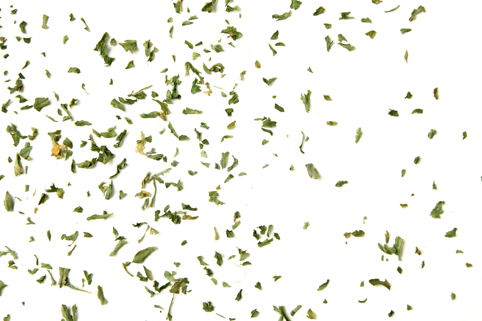말린잎,cooking,parsleyleaf,양념,탑앵글,parsley,파슬리가루,파슬리,driedparsley,파슬리잎,dry,dryparsley,food,green,italian,leaf,macro,plant,powder,topview,식재료,closeup,요리재료,말린,마른,가루,파우더,이탈리안,음식,식재료,요리,food,cook,meal,dishes,food reserves,누끼,remove background