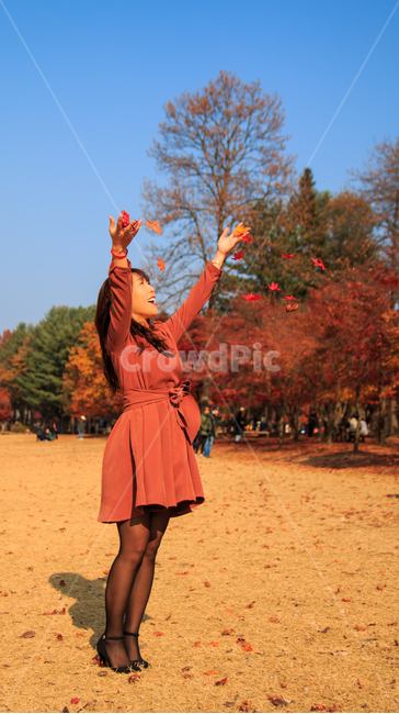 가을,단풍,여성,단풍잎,알록달록,풍경,인물,모델,여자,여인,숙녀,가을여자,붉은,빨간,빨간색,나뭇잎,낙엽,공원,나무,가을풍경,단풍나무,가을,계절,fall,autumn,season,자연,풍경,nature,landscape,사람,인물,인간,human,person,여성,여자,woman,female,lady,sleeve,소매,skirt,치마
