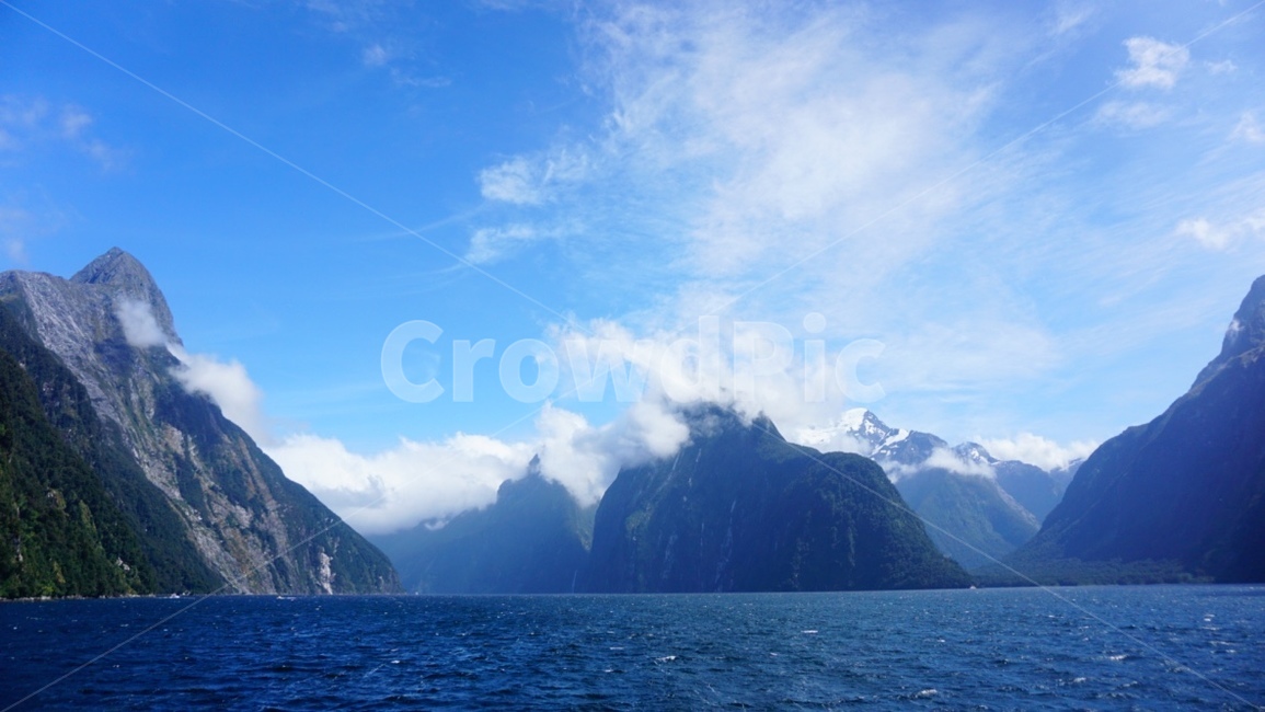하늘,갈매기,맑은하늘,sky,gull,seagull,뉴질랜드,뉴질랜드남섬,밀포드사운드,피오르드랜드,newzealand,절경,milfordsound,fiordlandnationalpark