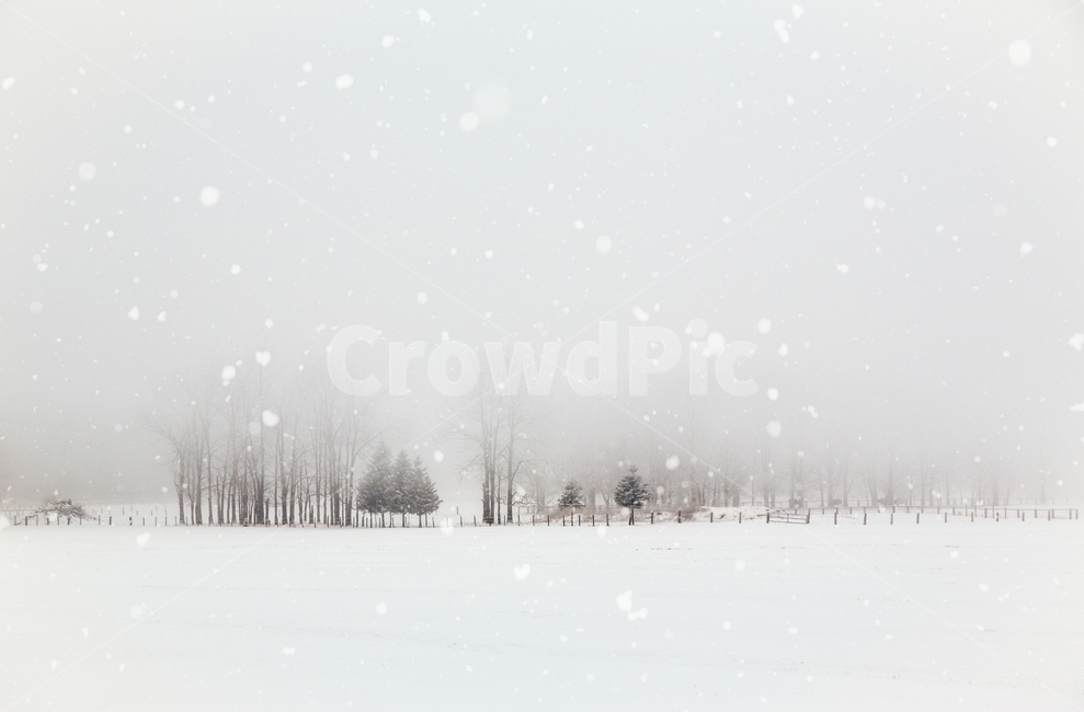 겨울풍경,눈,비에이,자연,상고대,겨울,계절,winter,season,자연,풍경,nature,landscape