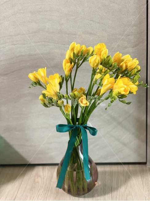 봄,꽃꽂이,후레지아,노랑,향기,꽃,식물,자연,plants,nature,꽃,flower,실내용화초,화분,화초,house plant