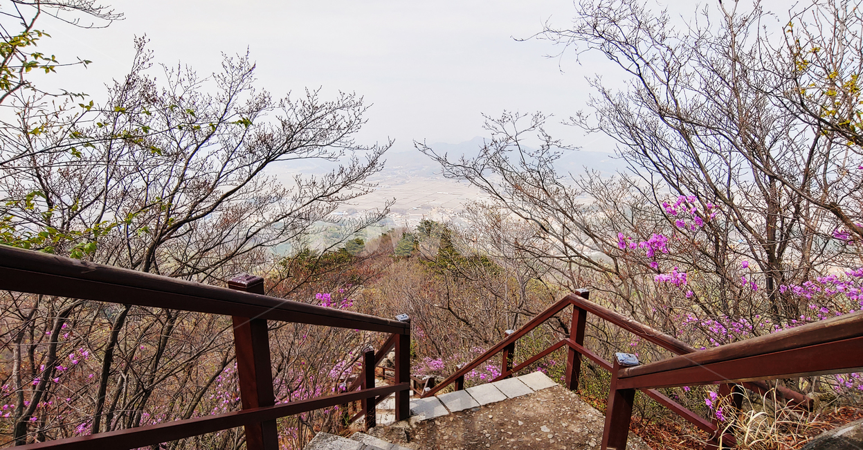 계단,산,나무,자연,풍경,난간,등산,봄,계절,spring,season,banister,handrail,railing