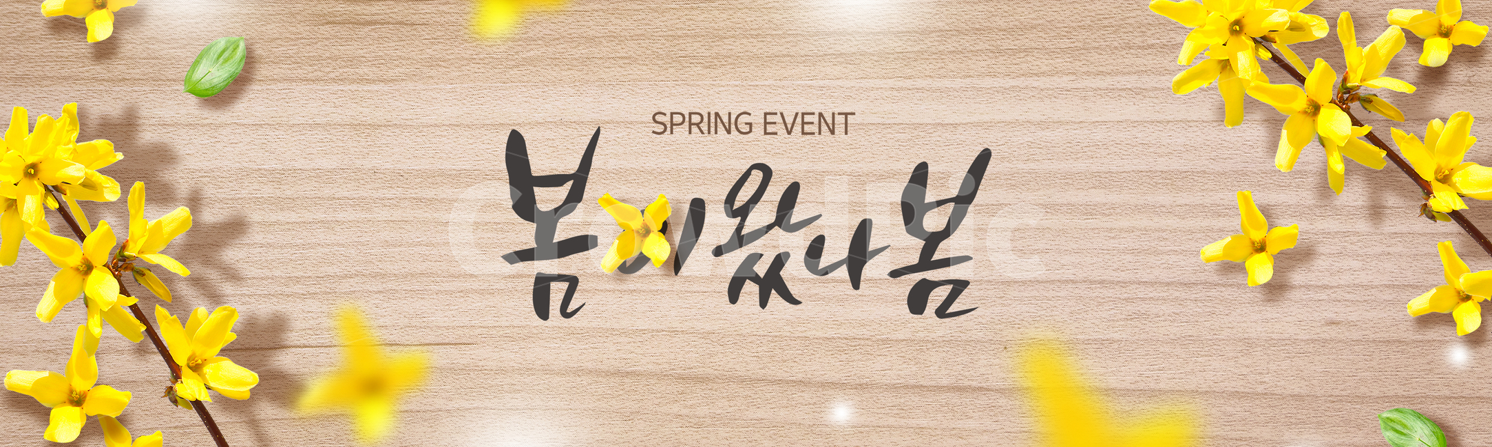 개나리,꽃,캘리,캘리그라피,손글씨,붓글씨,봄,프레임,쇼핑,배너,봄,계절,spring,season,식물,자연,plants,nature,꽃,flower,축제,행사,festival,carnival,event,그래픽,일러스트레이션,graphic,illustration,캘리그라피,손글씨,calligraphy