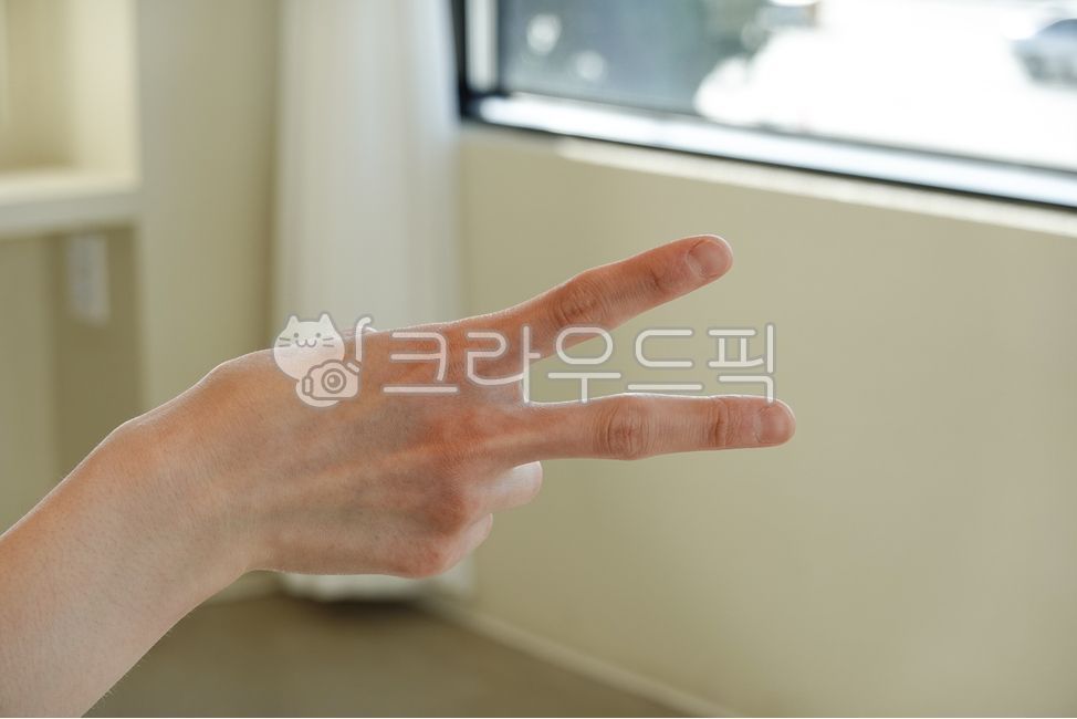 묵찌빠,가위바위보,여자손,손가락,팔,오른손,손바닥,신체일부,손짓,제스처,표시,연출,컨셉,콘셉,오락,놀이,게임,승부,bodypart,finger,person,hand
