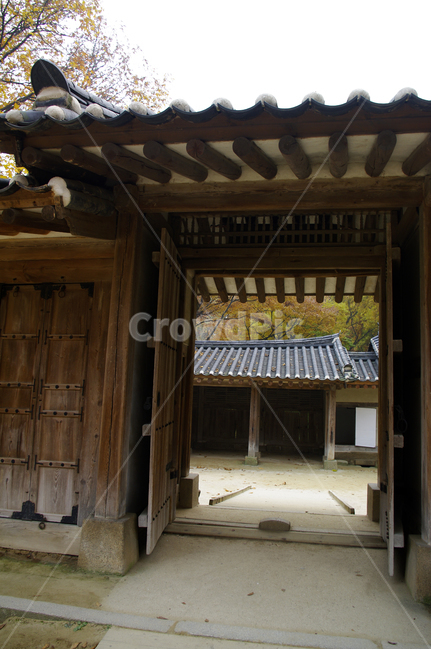 창덕궁,창덕궁후원,고궁,건축,전통건축,traditional,전통,한국전통,한국문화,korean traditional,korean culture,건축물,건물외관,exterior,building,structure,architecture,construction