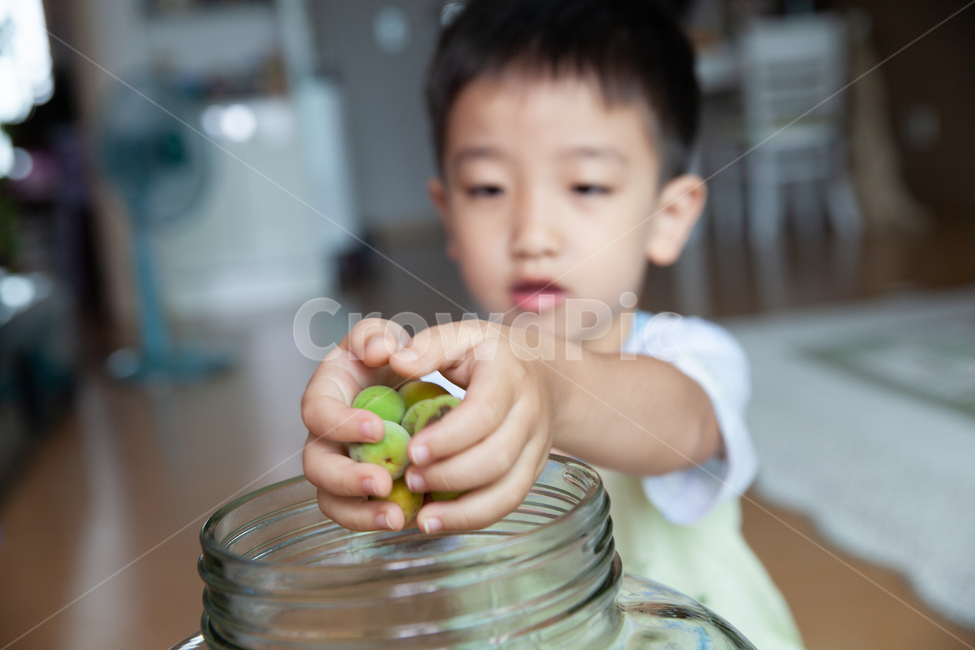 매실,액기스,매실주,담금주,원액,아이,남자아이,눈웃음,일상,매실청,매실손질,심부름,과일청,용돈,집중,귀여운,남아,매실장아찌,체험,학습,후식,음료수,drink,tea,차,매실차,열매,음식,새콤한,맛있는,익은,유기농,초록색,신선,무농약,고해상,사진,백그라운드,배경,배경화면,한국,사람없음,랜드마크,국내,경치,여백,맑음,상쾌,아웃포커스,어린이,어린아이,child,children,kid