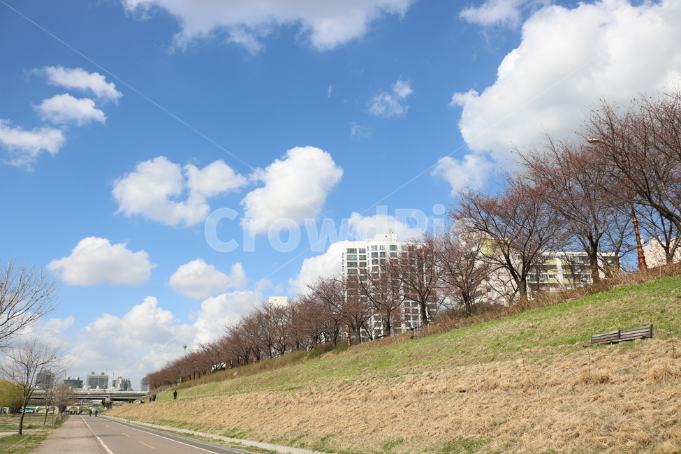하늘,구름,맑은날,봄,자전거도로,자연,풍경,nature,landscape,road,도로