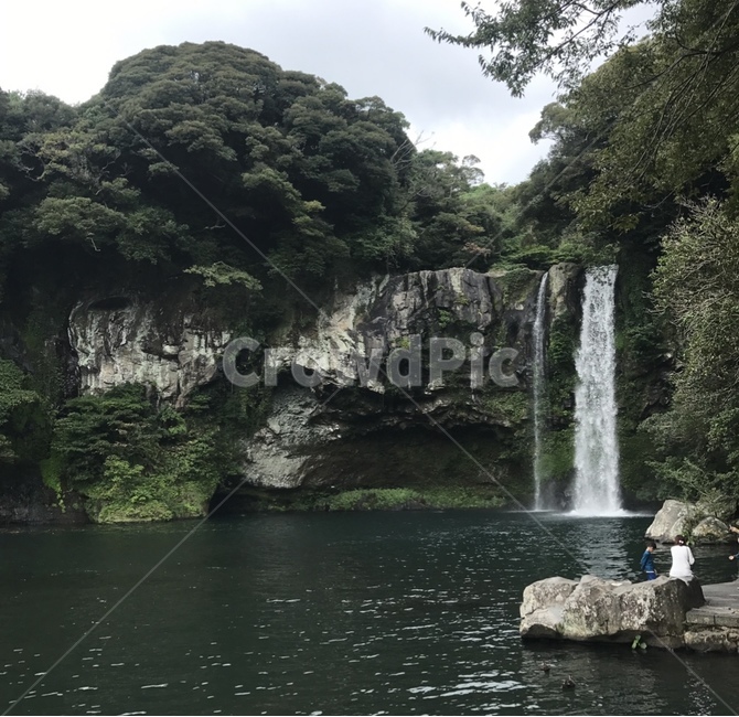 제주도,천지연폭포,제주도폭포,천지연,폭포,자연경관,자연,waterfall,water,nature,물,outdoors,river,강