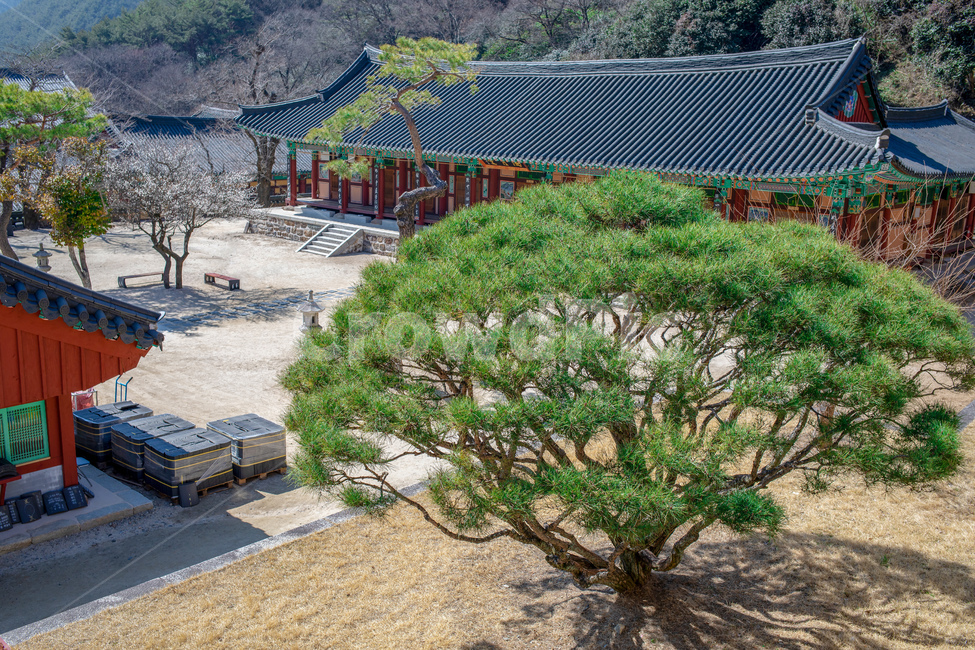화엄사,사찰,불교,건축물,종교,조계종,목조건물,처마,문양,전통,문화,역사,템플스테이,지붕,나무,소나무,구례,지리산,노고단,한국,buddhism,temple,religion,faith,templestay,eaves,structure,한국전통,한국문화,korean traditional,korean culture,건축물,건물외관,exterior,building,structure,architecture,construction