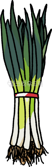 파, 파한단, food, 음식, leek, 사진,이미지,일러스트,캘리그라피 - slowgom작가
