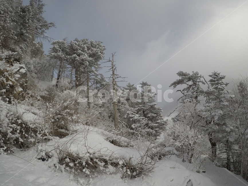 눈,설경,설산,지리산,겨울산,등산,자연,풍경,겨울,계절,winter,season