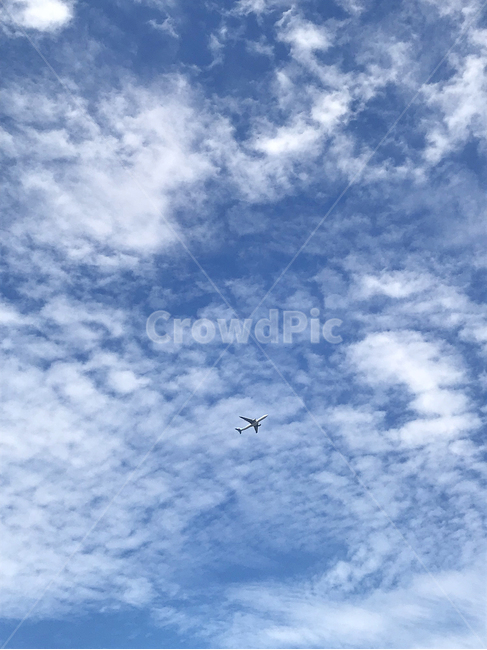 하늘,비행기,구름,sky,cloud,새털구름,파란구름