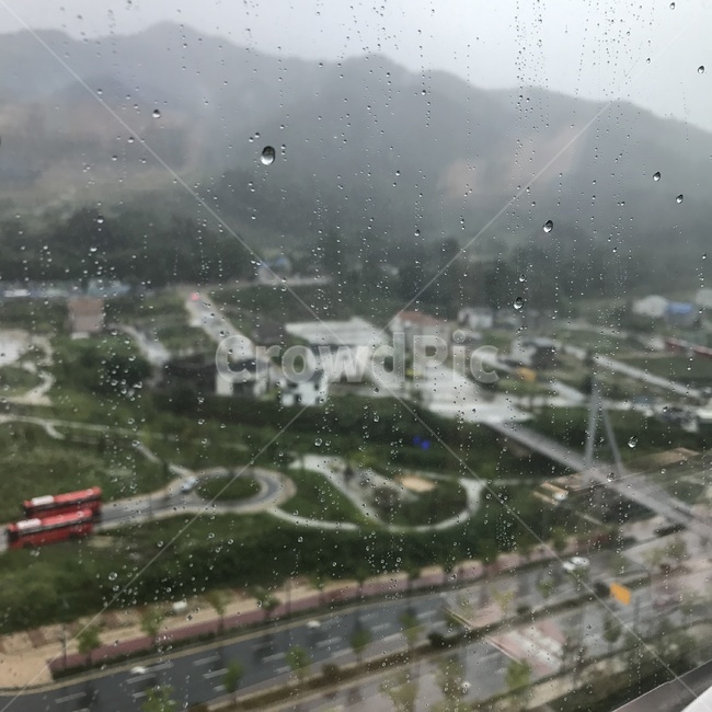 비,자연,시원함,풍경,경치,힐링,rain,창밖,빗방울,cloud,계절,봄비,봄,장마,비,비오는날,rain,rainy