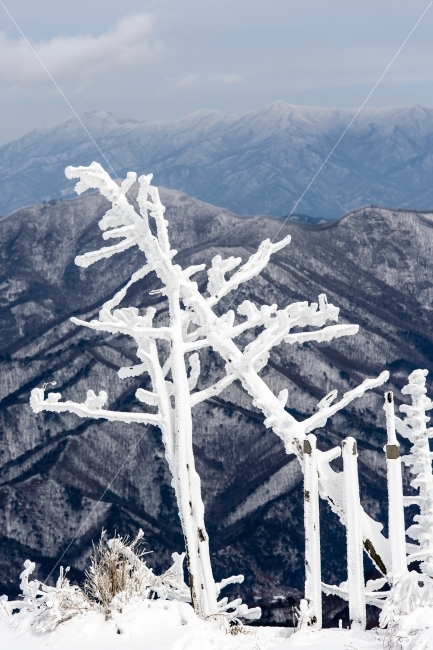 풍경,눈꽃,덕유산,설경,풍경사진,자연,풍경,nature,landscape,겨울,계절,winter,season,outdoors,옥외,cross,가로 질러 가다,symbol,상징,snow,눈,mountain,산