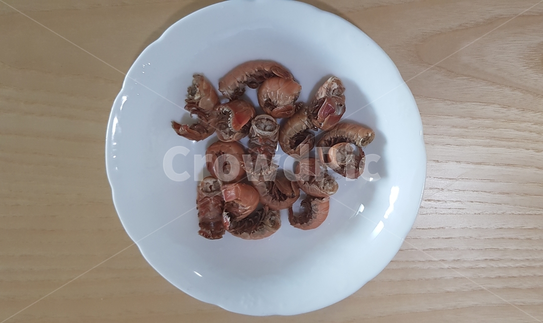 food,shrimp,요리,새우,딱새우,딱새우요리,새우요리
