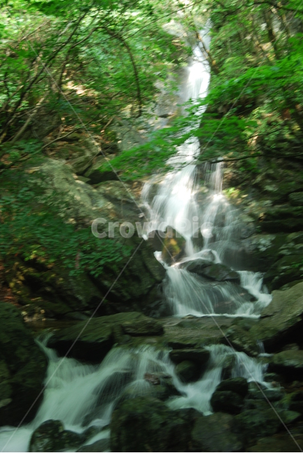 계곡,valley,물,water,돌,stone,여름,계절,summer,season,자연,풍경,nature,landscape,river,강,outdoors,옥외,waterfall,폭포