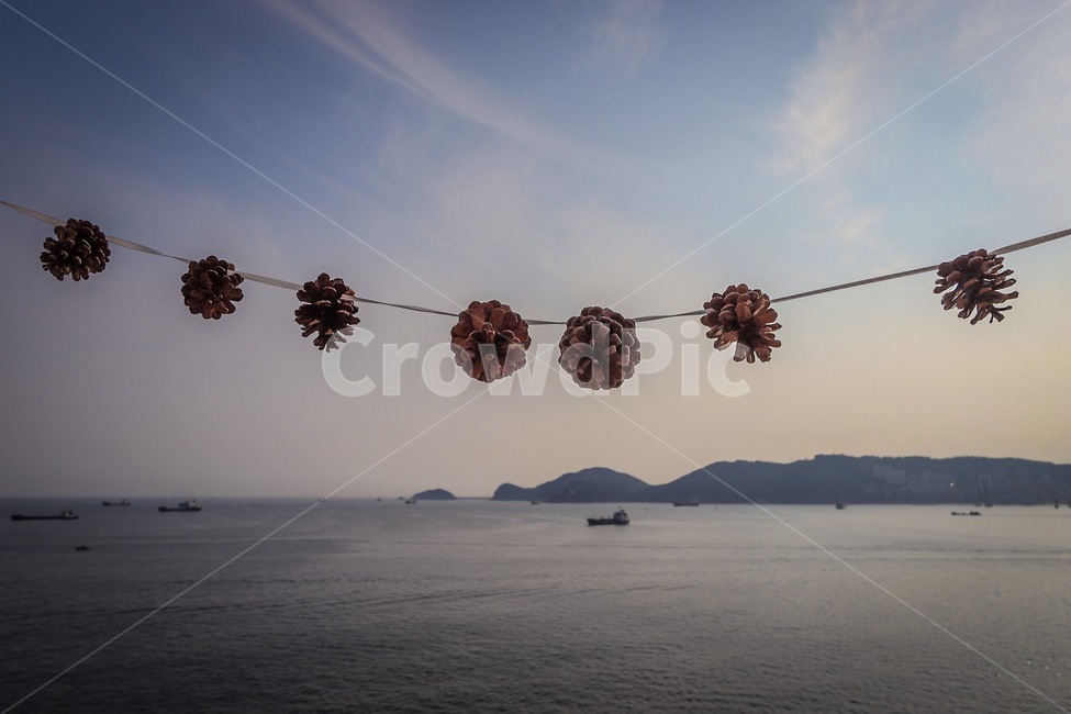 sea,바다,솔방울,outdoors,옥외,nature,자연,ocean,대양,water,물,land,땅,shoreline,해안선