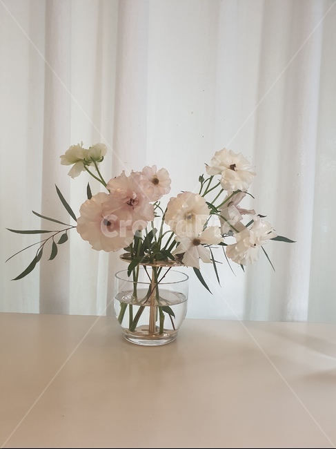 식물,예쁜장식,꽃,flower,분위기있는사진,꽃,flower