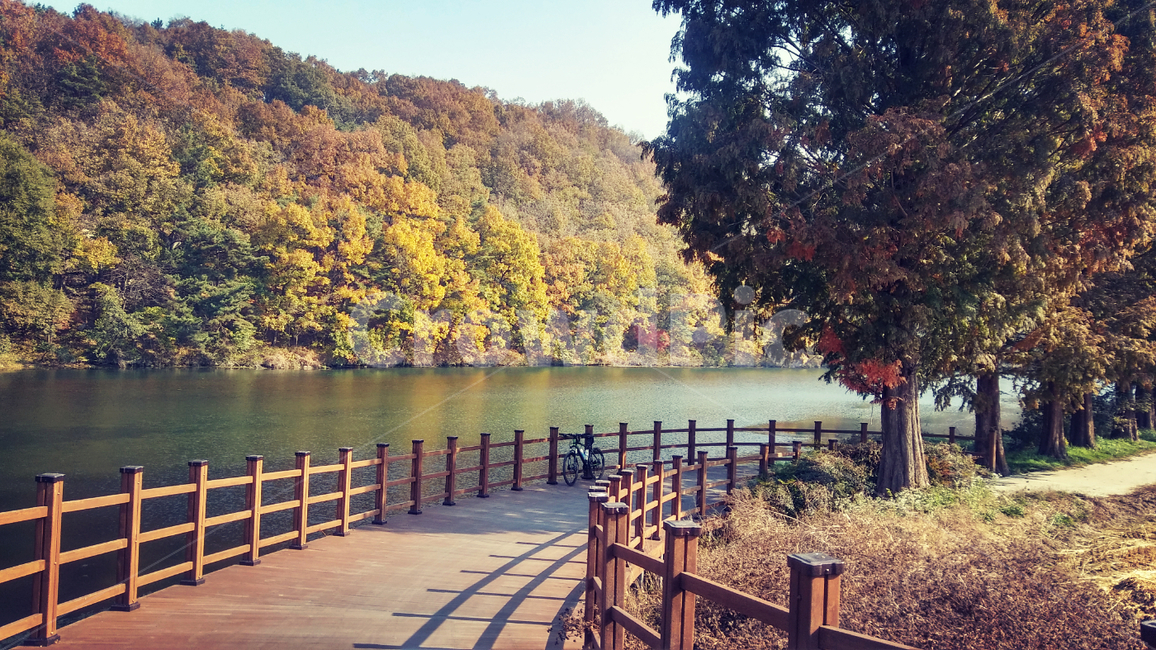 가을,노루벌,흑석동,메타세콰이어,가을풍경,호수,호숫길
