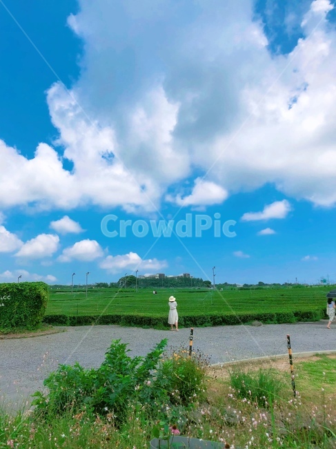 nature,outdoors,자연,weather,날씨,jeju,제주도,공원