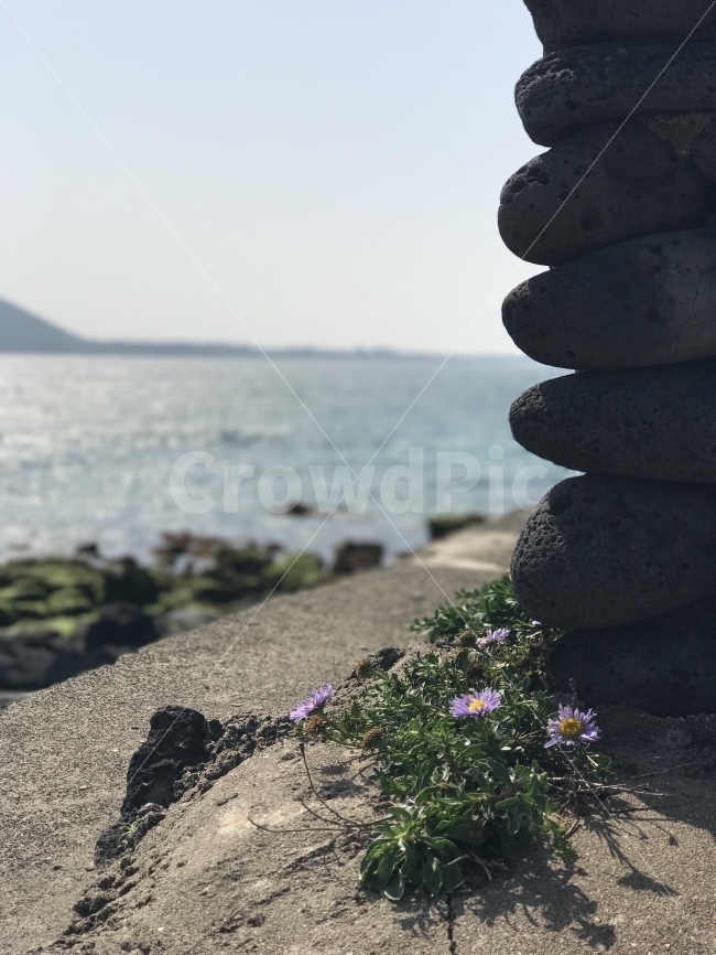 자연,감성,제주,풍경,원본,무보정,제주도,jeju,jeju island