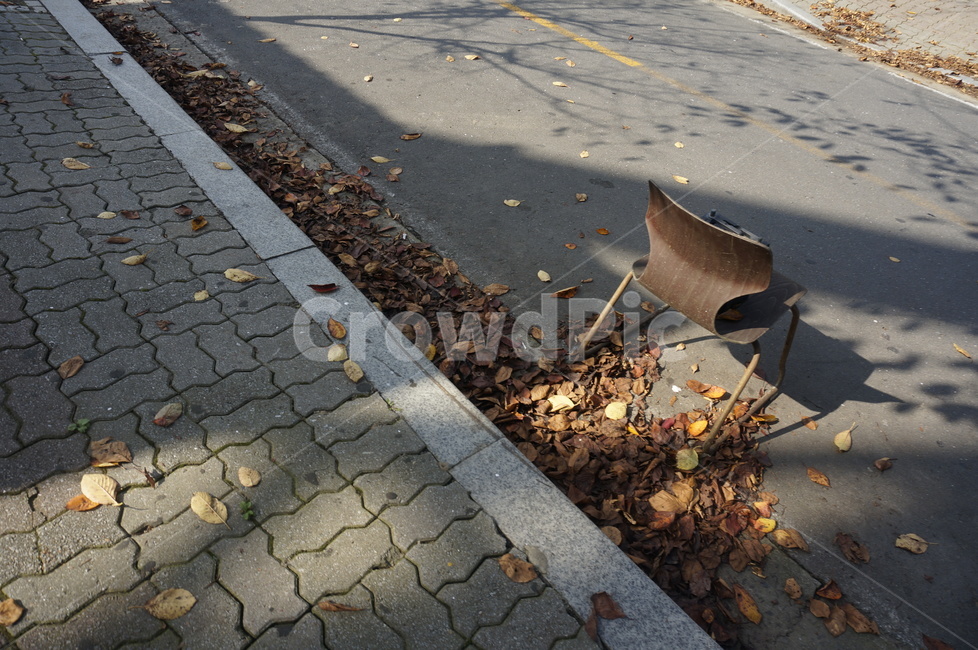 가을,계절,길거리,낙엽,도로,fall,season,weather,날씨,햇살,감성,감성사진,나뭇잎,leaf,leaves