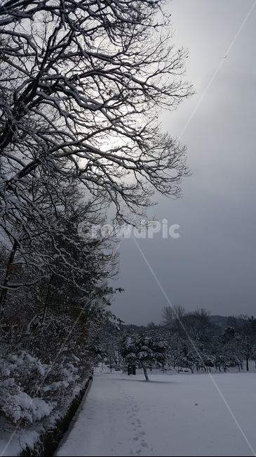 눈,눈길,겨울,흐린날,공원,snow,road,winter,cloudy,park