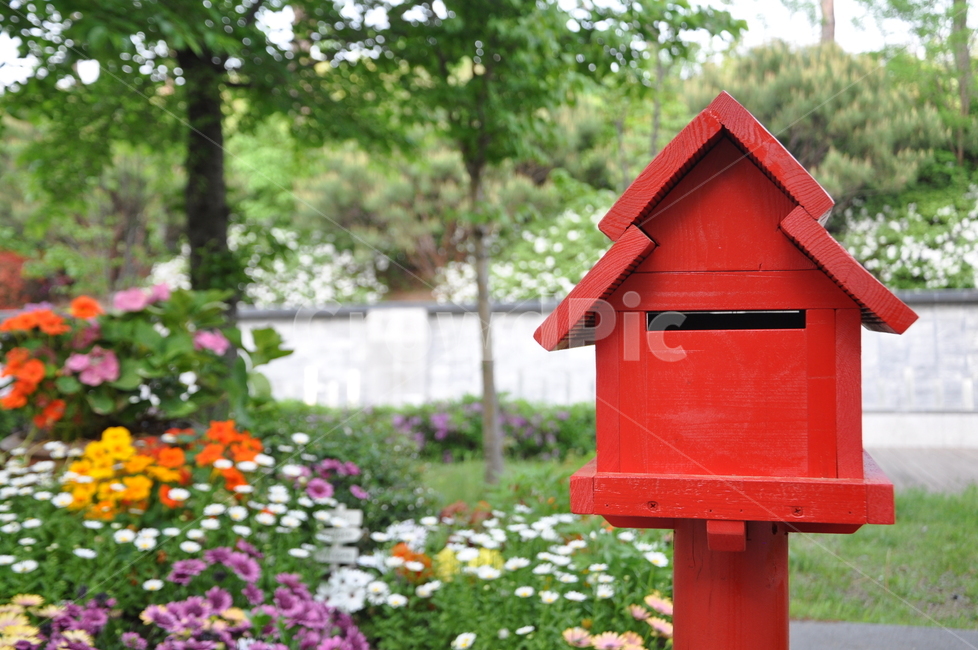 감성사진,우체통,꽃,공원,편지