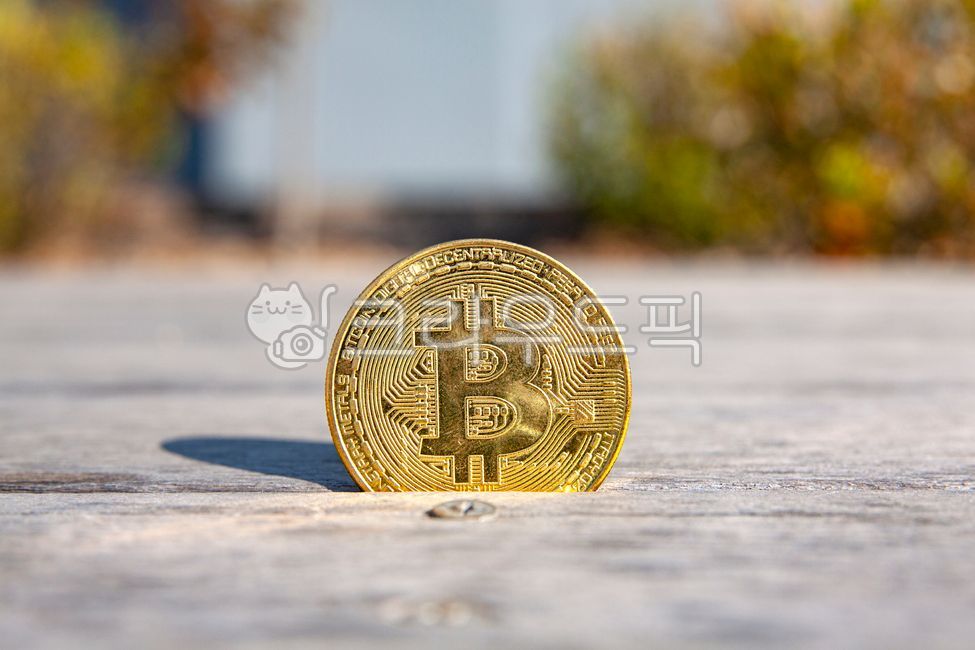 비트코인,사다,구입,쇼핑,구매하다,돈,지불,비즈니스,장보기,결제,금융,구입하다,구매,머니,장바구니,파이낸스,쇼핑카트,카피스페이스,컴퓨터,인터넷,채굴