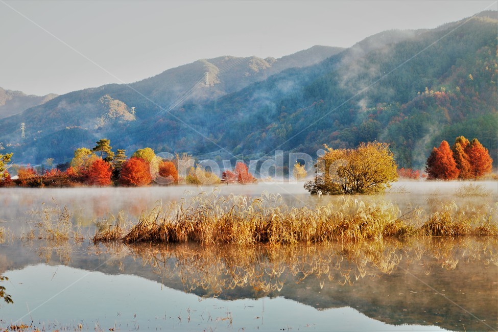 자연,댐,식물,옥외,산,자연,풍경,nature,landscape
