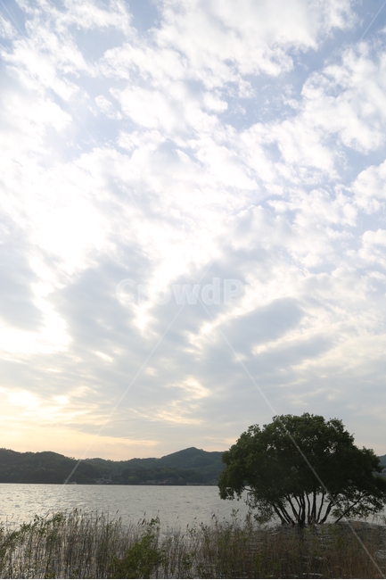 감성,나무,호수,외로움,단절,적막,구름,자연,풍경,nature,landscape,outdoors,옥외