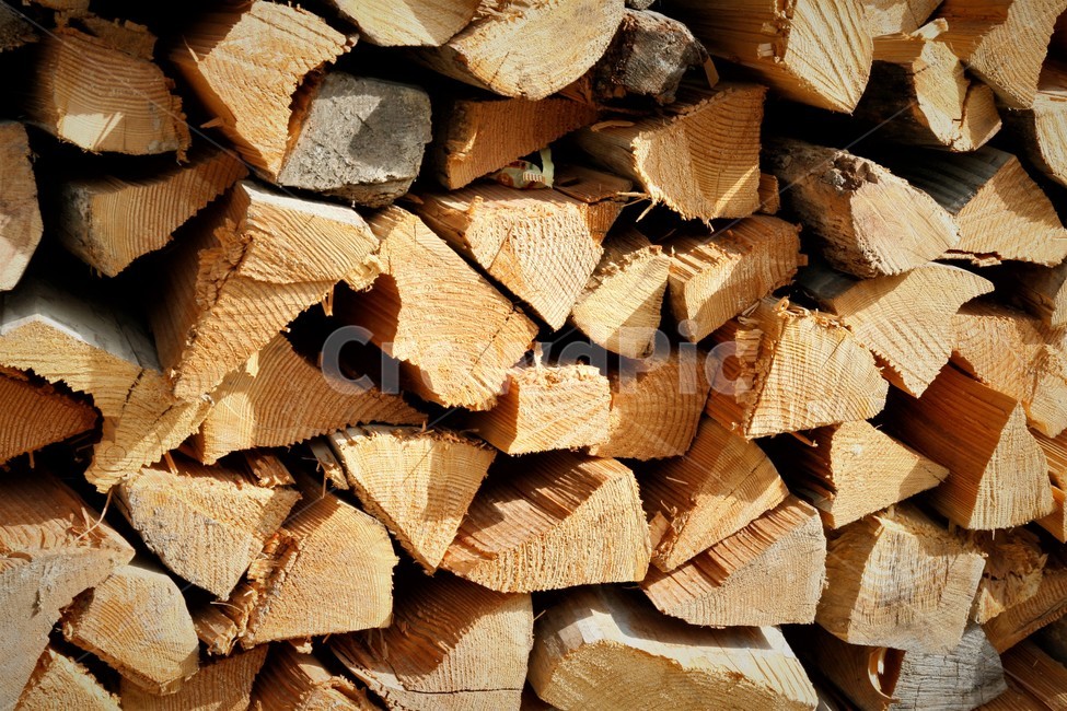 장작,나무,땔감,장작더미,나무토막,나무,trees,wood