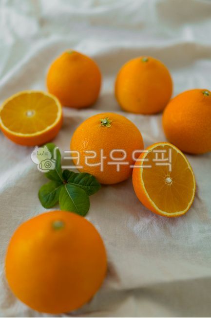 citrusfruit, 감귤류과일, 과일, fruit, orange, 사진,이미지,일러스트,캘리그라피 - gotolondon작가