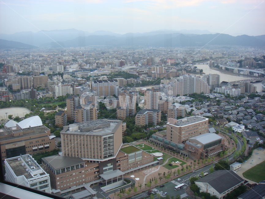 후쿠오카,타워,일본,도심,건물