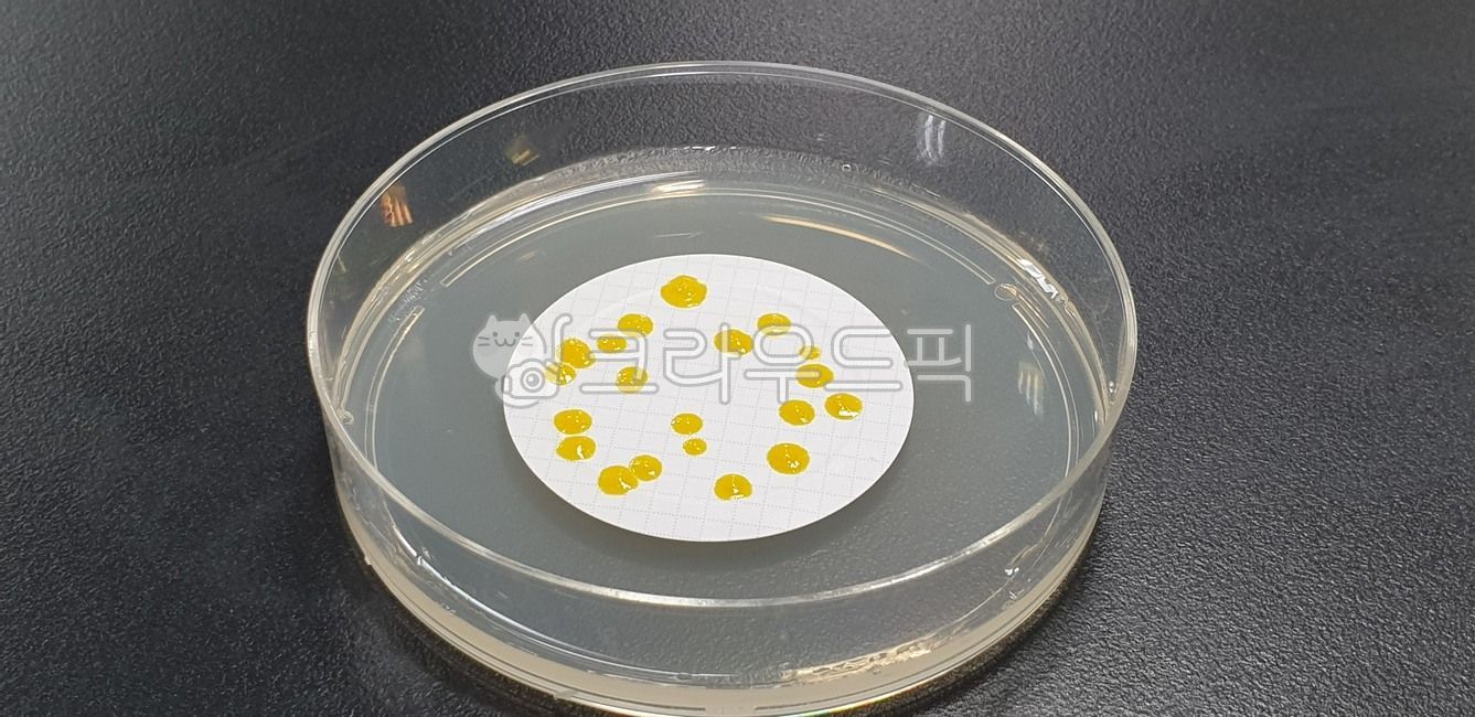 bacterium, detection, environmentalmonitoring, mold, plate - Authentic ...