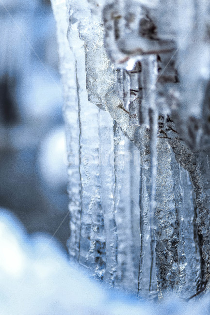 얼음,겨울,고드름,주렁주렁,폭포,냉동,겨울,계절,winter,season