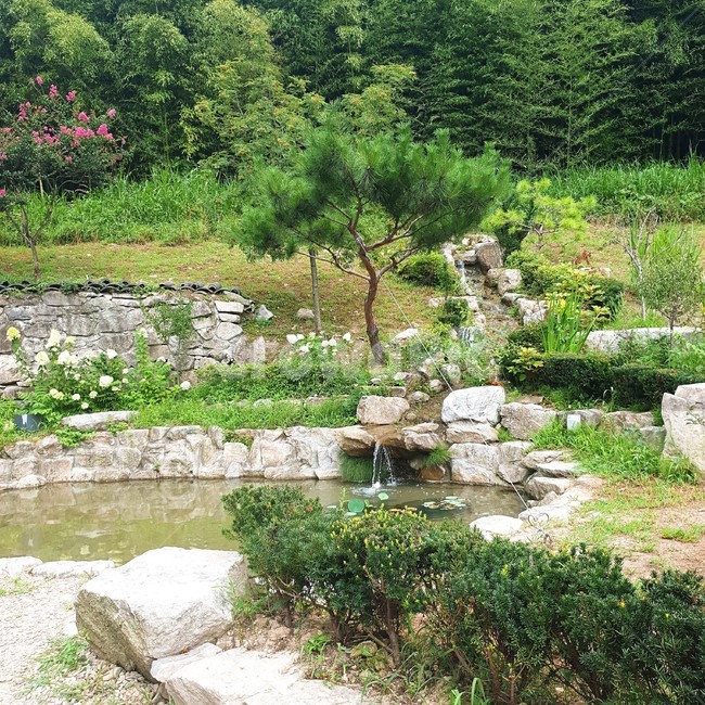 연못,물,자연,나무,우물,자연,풍경,nature,landscape,water,outdoors,옥외