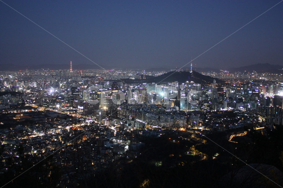 야경,남산타워,경치,도시,밤