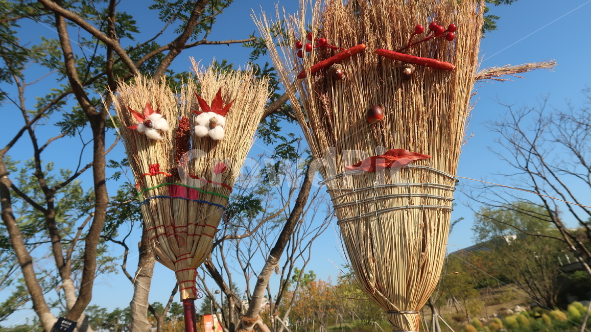 빗자루,가을,식물원,broomstick,autumn
