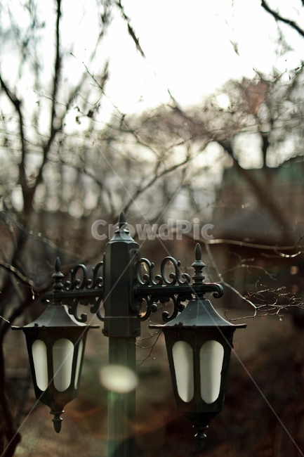 가로등,엔틱,나무,streetlamp,tree,antique,사물,물건,오브젝트,thing,object,matter
