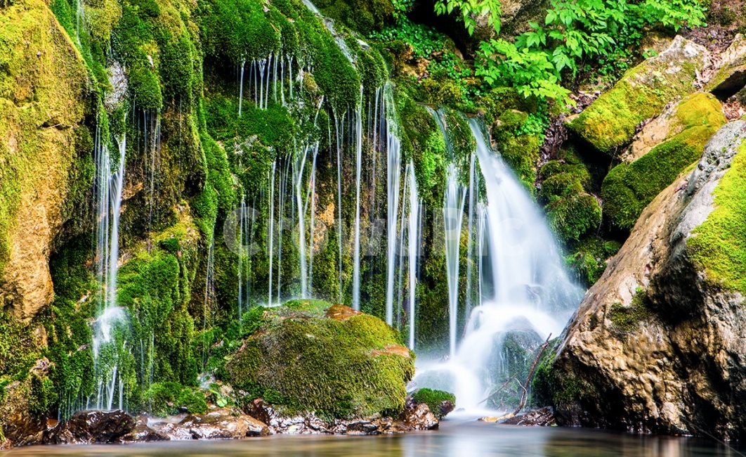 삼척고건리,이끼계곡,고건리이끼,장노출,계곡장노출,물안개,자연,풍경,nature,landscape,outdoors,옥외,river,강,water,물,waterfall,폭포
