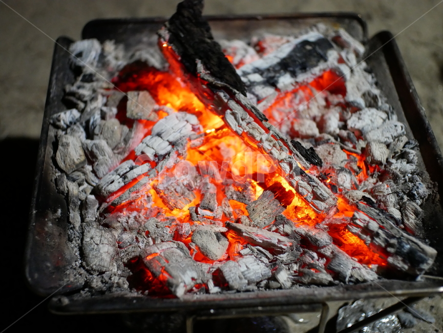 불,캠핑,장작불,장작,캠핑불,fire
