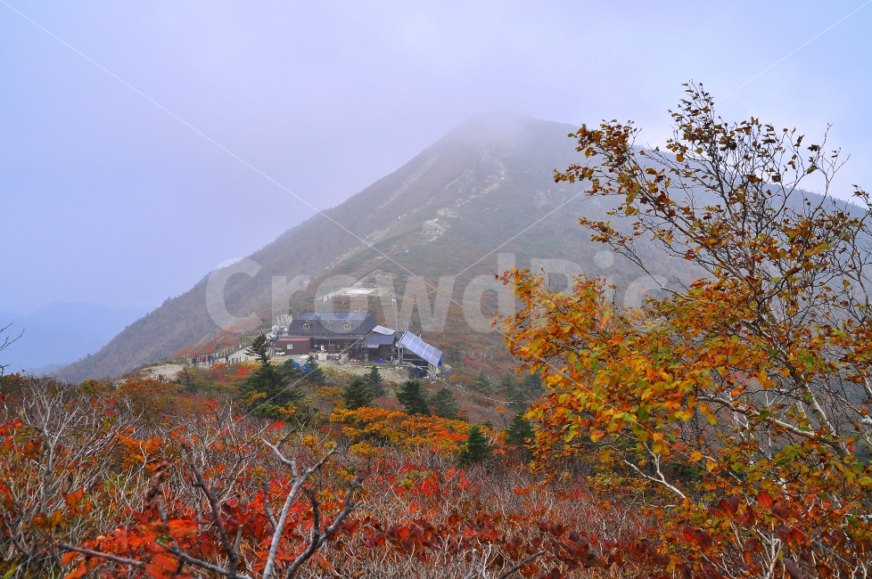 대청봉,산장,가을,설악산,국립공원,단풍,시즌,계절,단풍잎,leaf,season,maple,시안,디자인,디자이너,출판,편집,책자,서적,사보,카다로그,콘텐츠,리플렛,브로셔,모바일,팝업,전단,광고,색감,칼라풀,아름다운,뷰티풀,beautiful,sns,ebook,웹,마케팅,마켓팅,느낌,서정,나뭇,봉우리,능선,찬란한,화려한,mountain,autumn,fall,red,colorful,emotion,feeling,10월,그림같은,힐링,알록달록,울긋불긋,자연,식물,숲,산,명소,절경,산행,등산,관광,절정,빨강,노랑,초록,가을산,안개,운해,건물,풍경,가을,계절,fall,autumn,season,자연,풍경,nature,landscape,한국자연풍경,한국자연경관,korea nature landscape,outdoors,옥외,mountain range,산맥