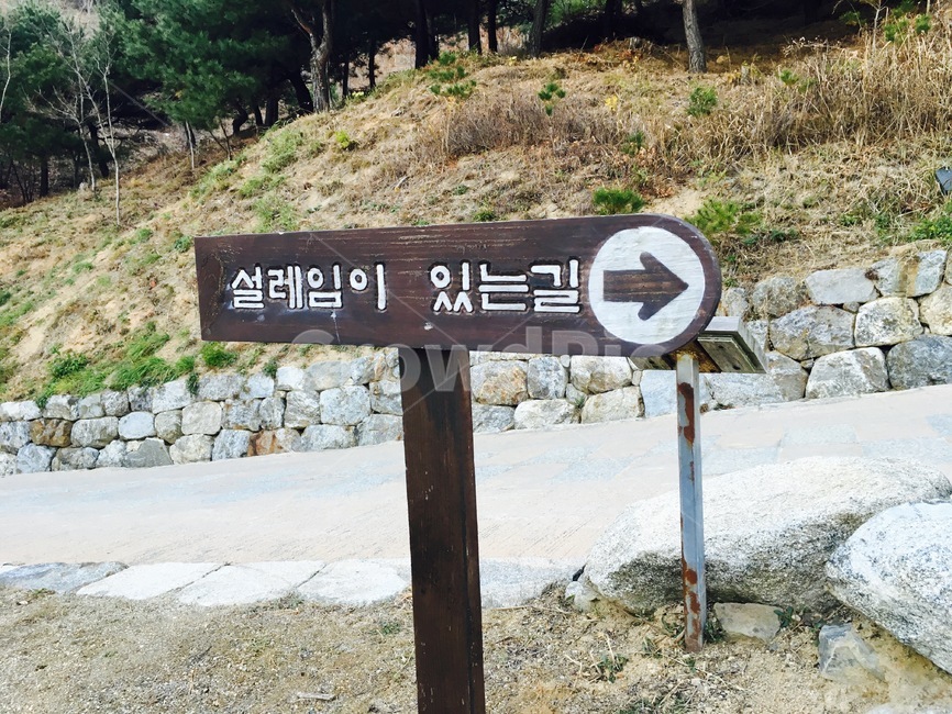 설렘이있는길,낙산사,산책로,산책길,나무푯말